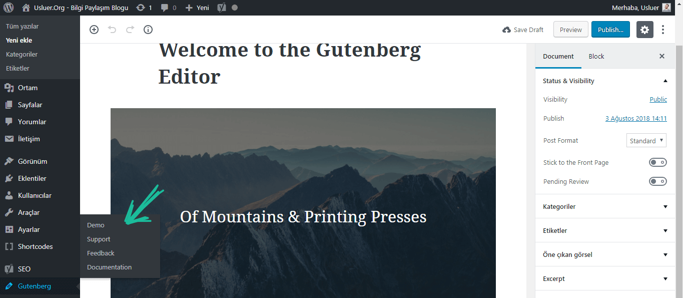Gutenberg Editor Demo